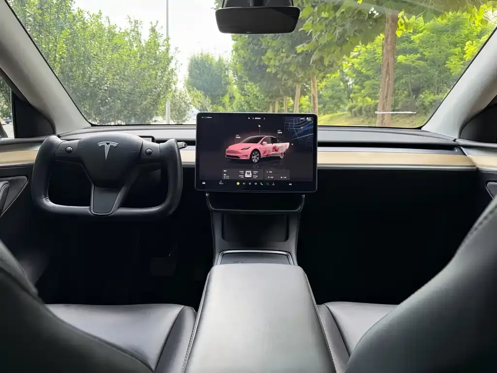 Tesla Model Y — фото 8