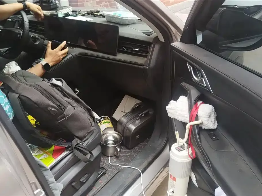 Roewe RX5 New Energy 2024 из CN, фото 7