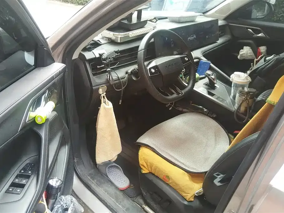 Roewe RX5 New Energy 2024 из CN, фото 9