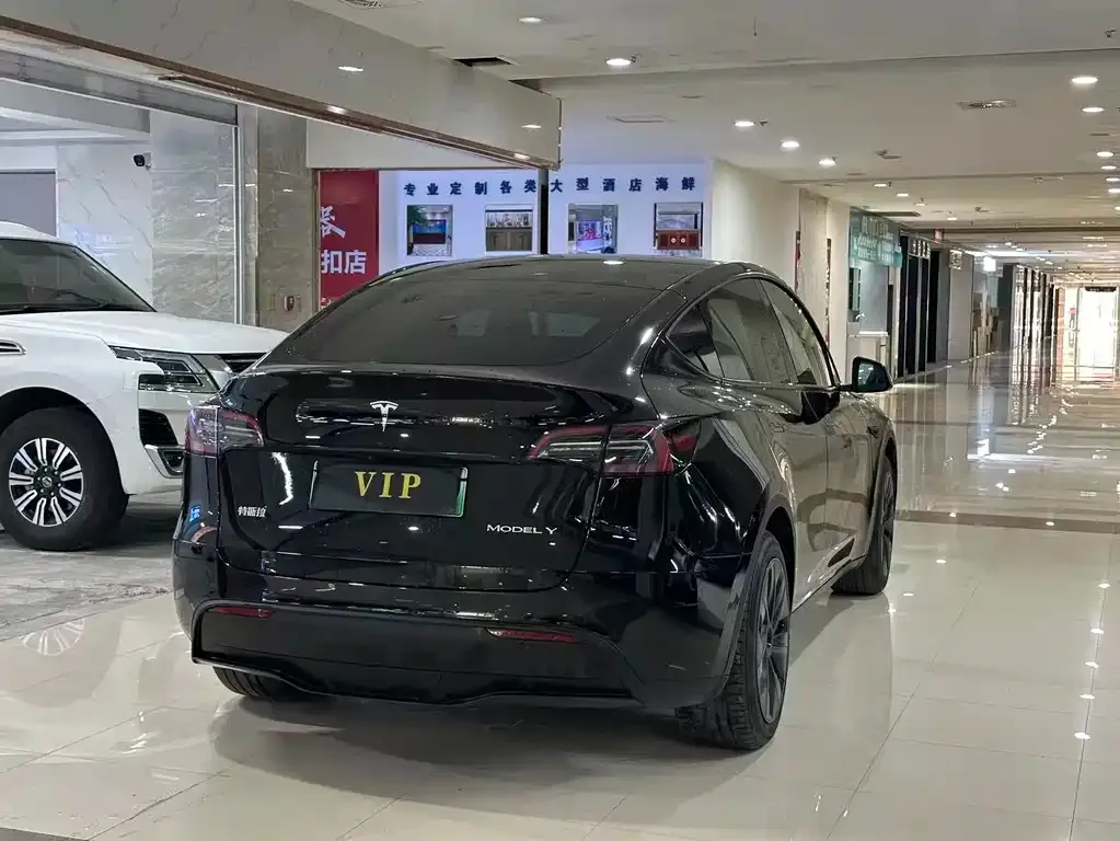 Tesla Model Y — фото 3