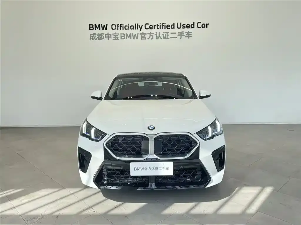 BMW X2 (Import) 2025 из CN, фото 7