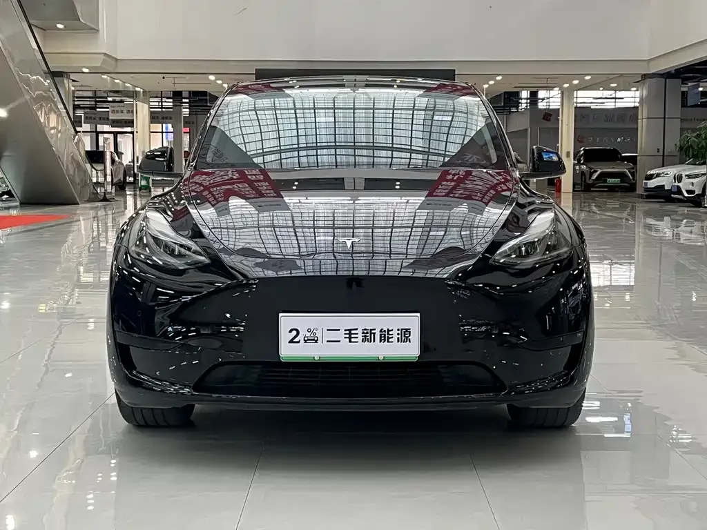 Tesla Model Y — фото 8