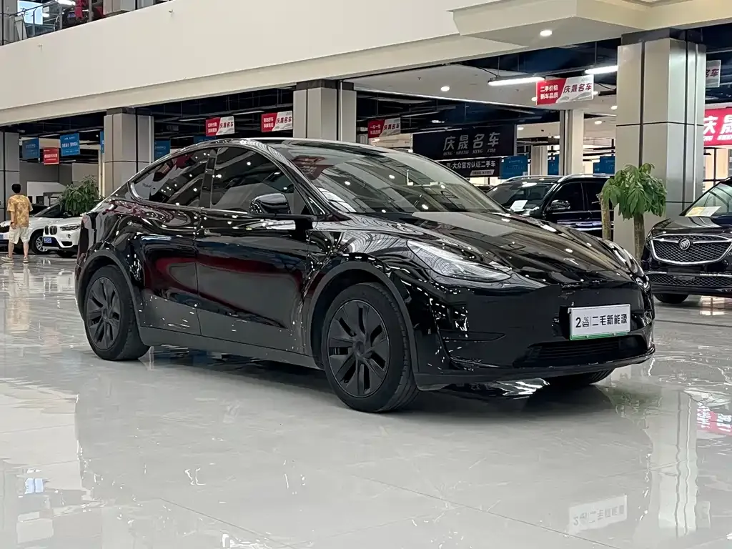 Tesla Model Y — фото 10