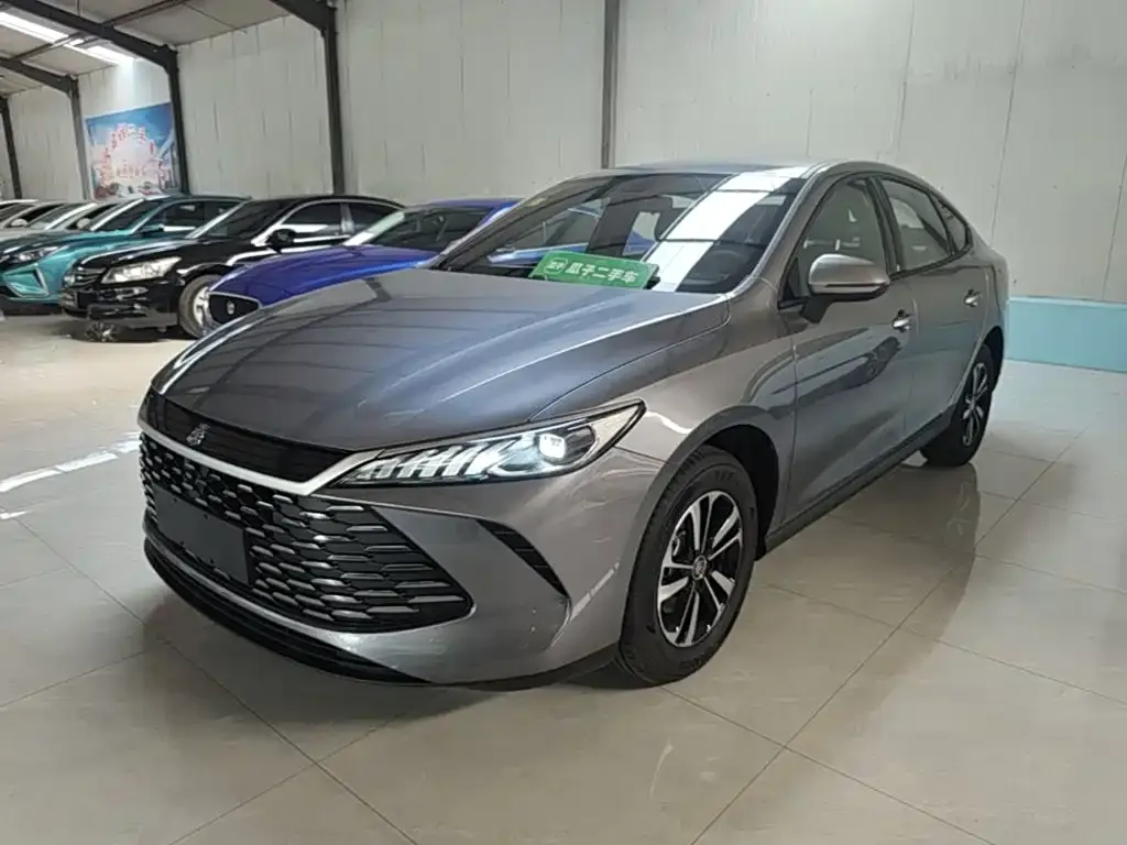 BYD Qin PLUS — фото 1