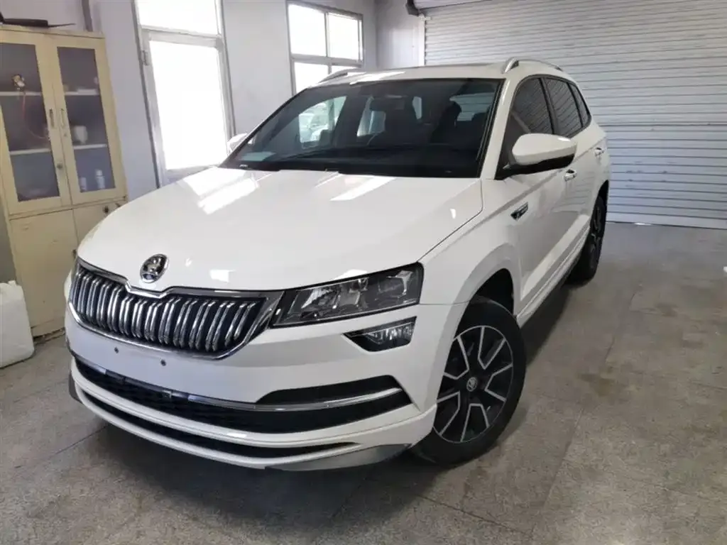 Skoda Karoq 2022 из CN, фото 8