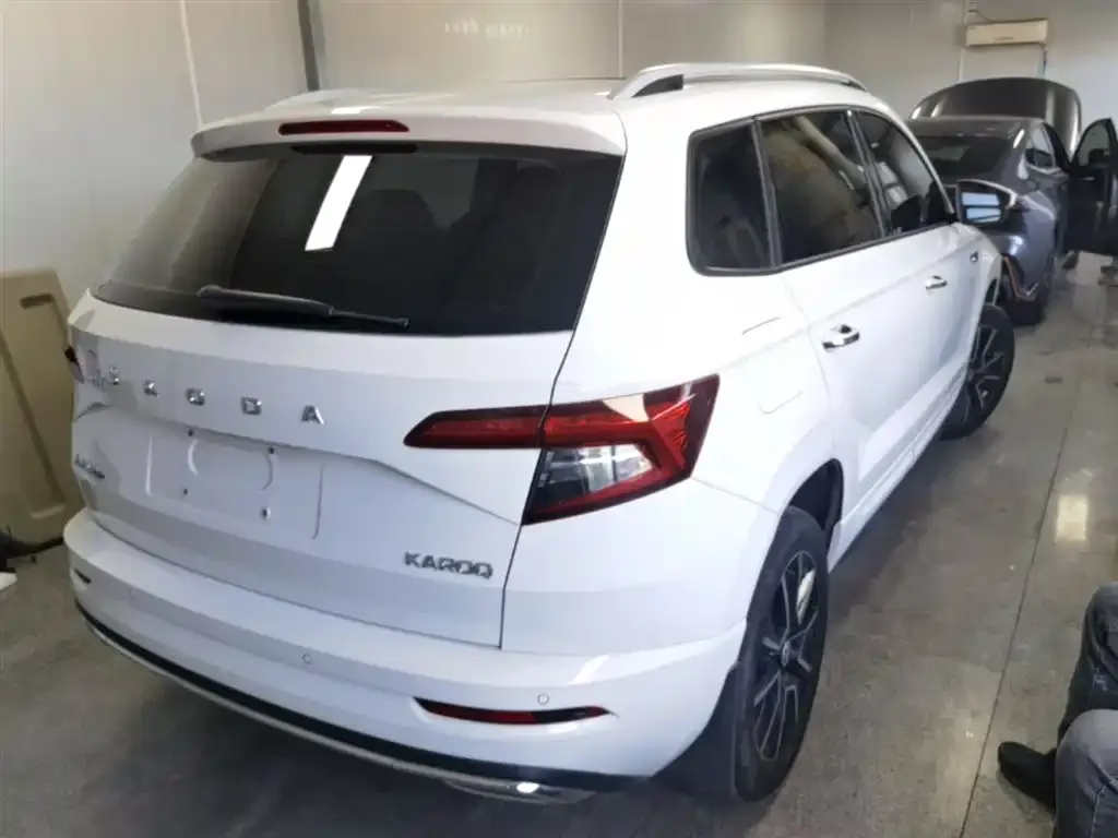 Skoda Karoq 2022 из CN, фото 3