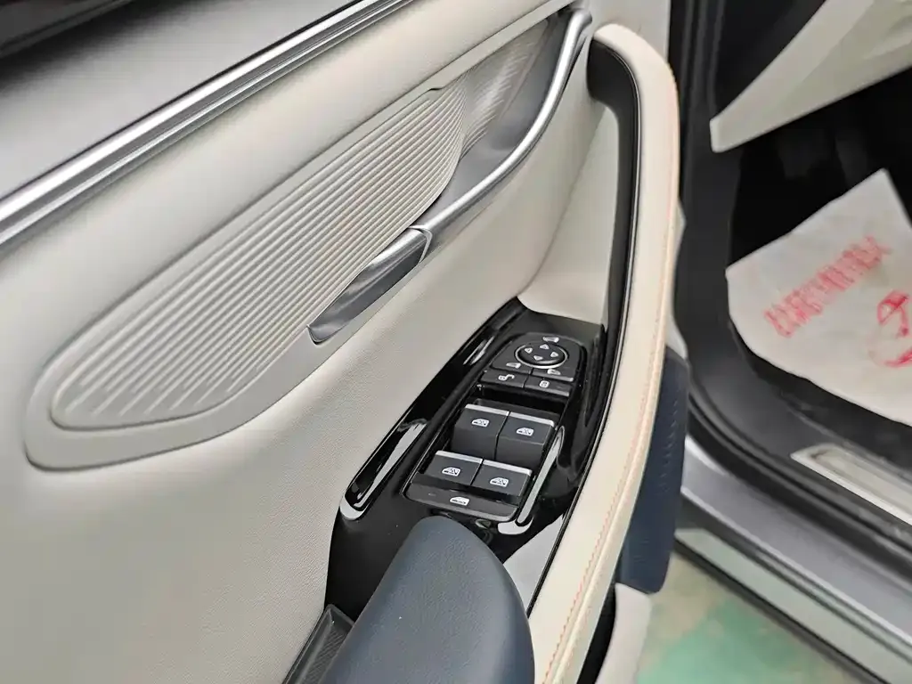 BYD PLUS New Energy — фото 9