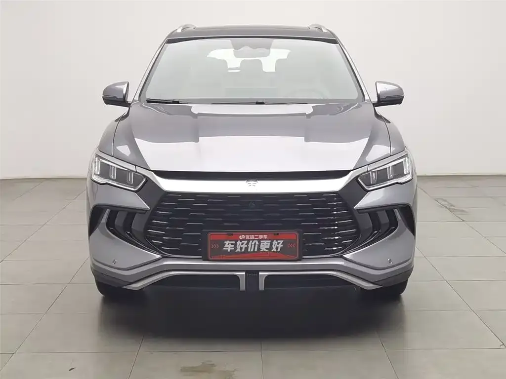 BYD Pro New Energy 2024 из CN, фото 4