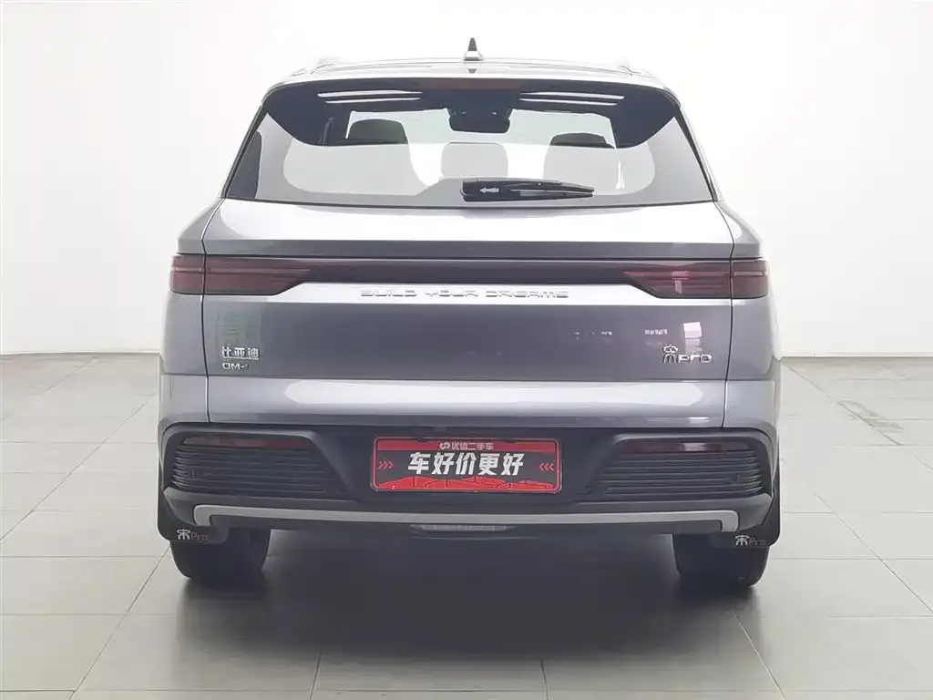 BYD Pro New Energy 2024 из CN, фото 9
