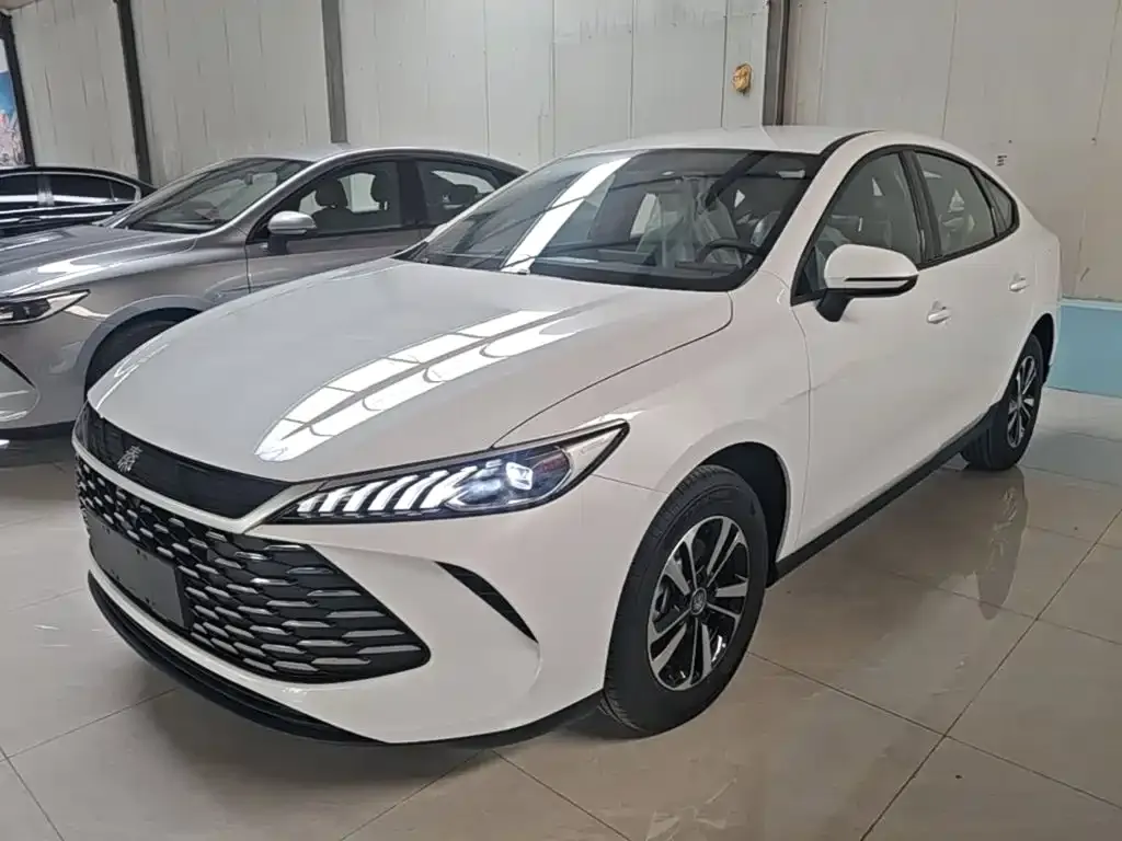 BYD Qin PLUS — фото 3