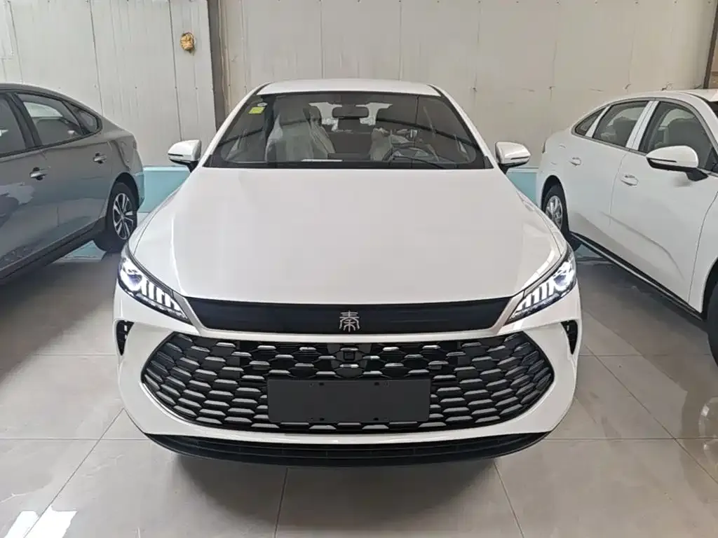 BYD Qin PLUS — фото 4
