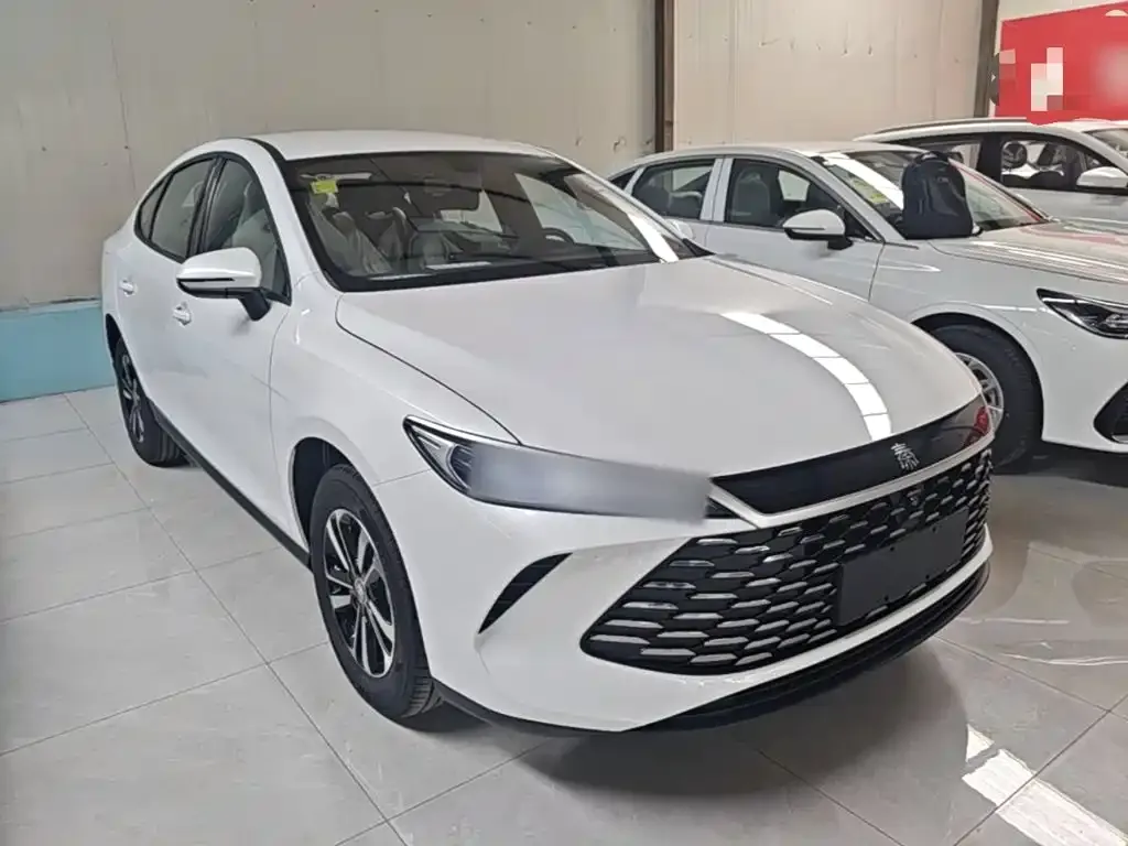 BYD Qin PLUS — фото 5