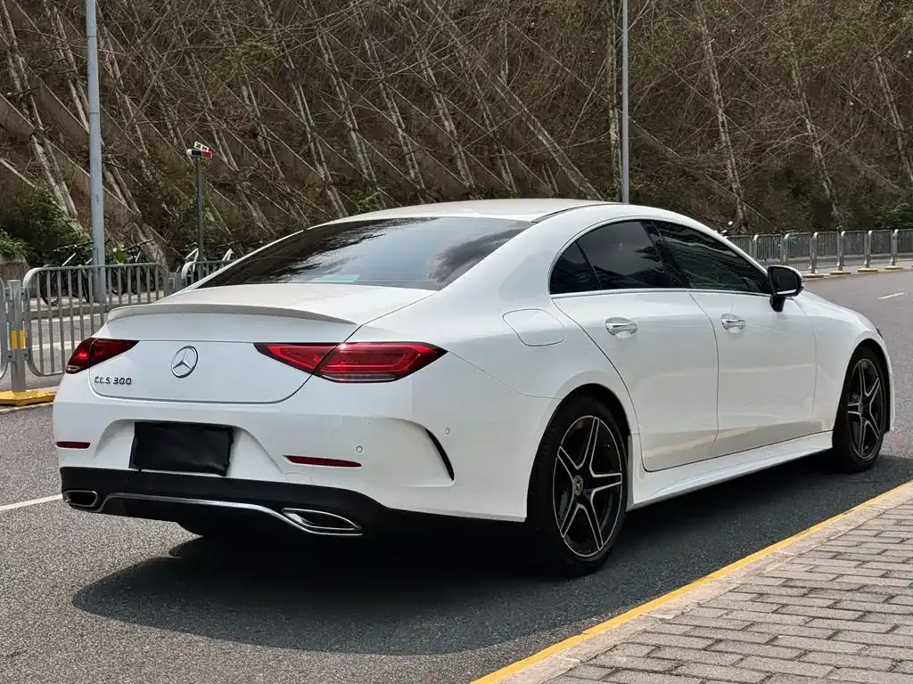 Mercedes-Benz CLS 2021 из CN, фото 4