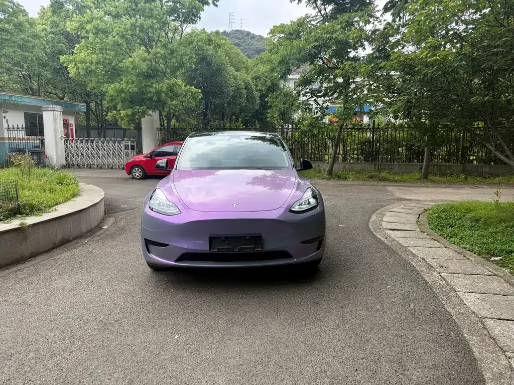 Tesla Model Y — фото 1