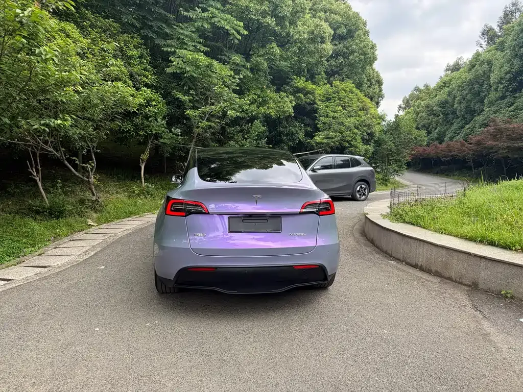 Tesla Model Y — фото 10