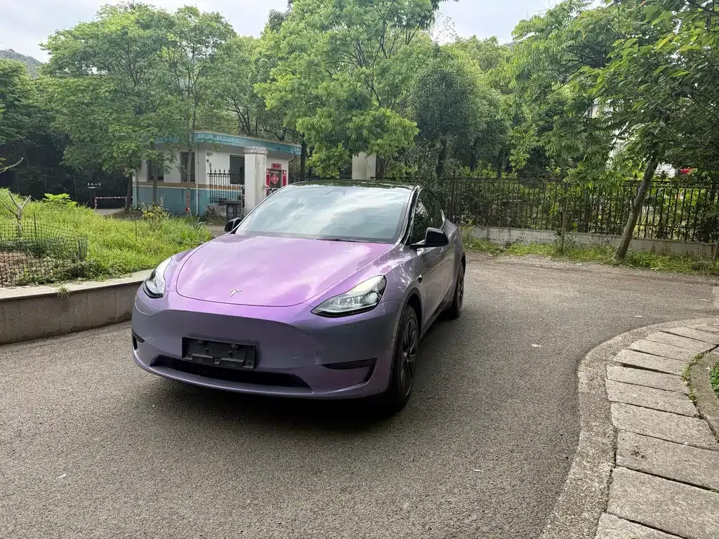 Tesla Model Y — фото 6