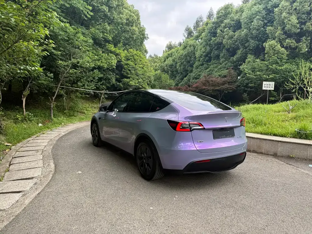 Tesla Model Y — фото 2