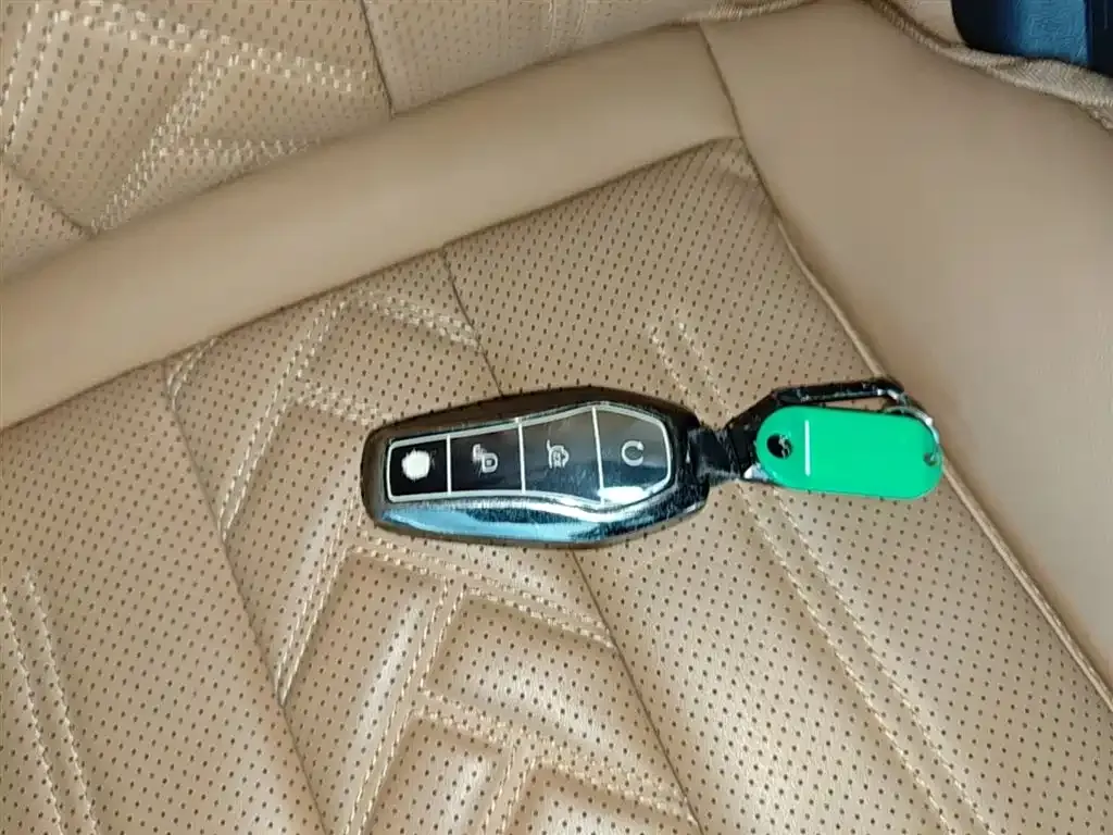 BYD L DM-i — фото 10