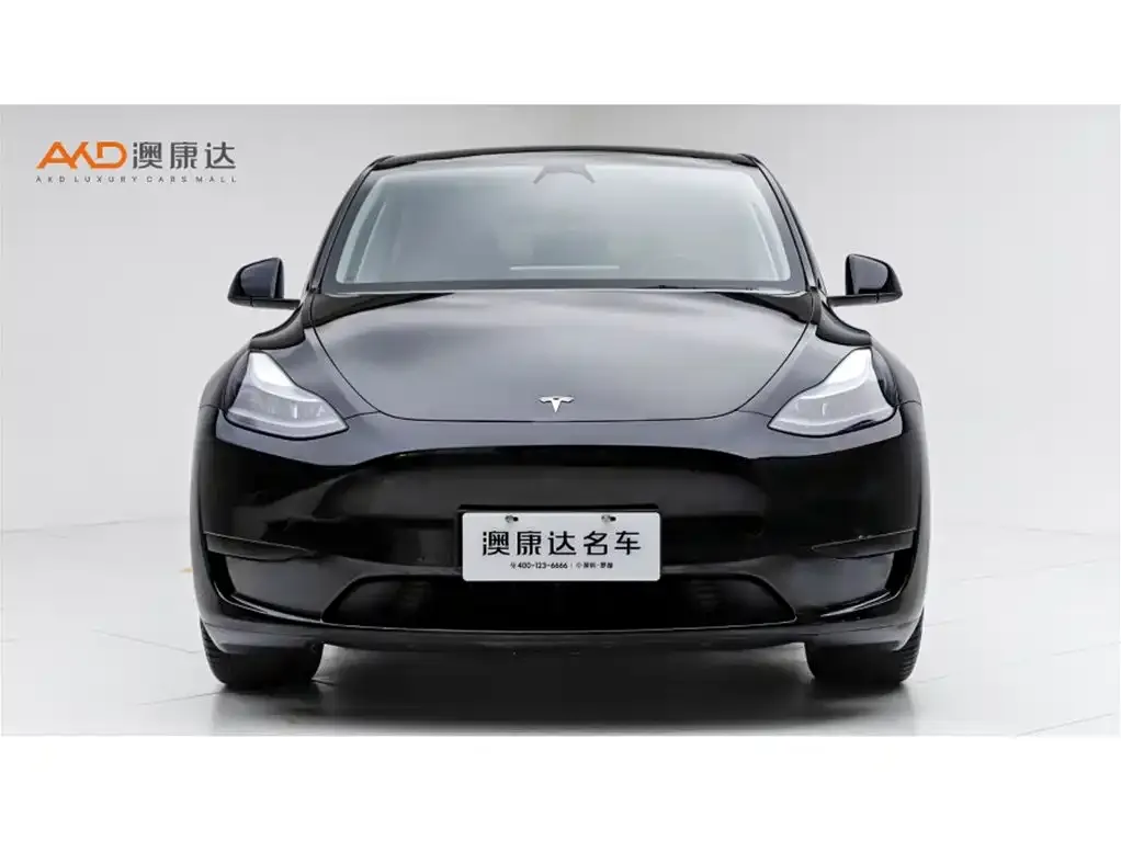 Tesla Model Y — фото 8
