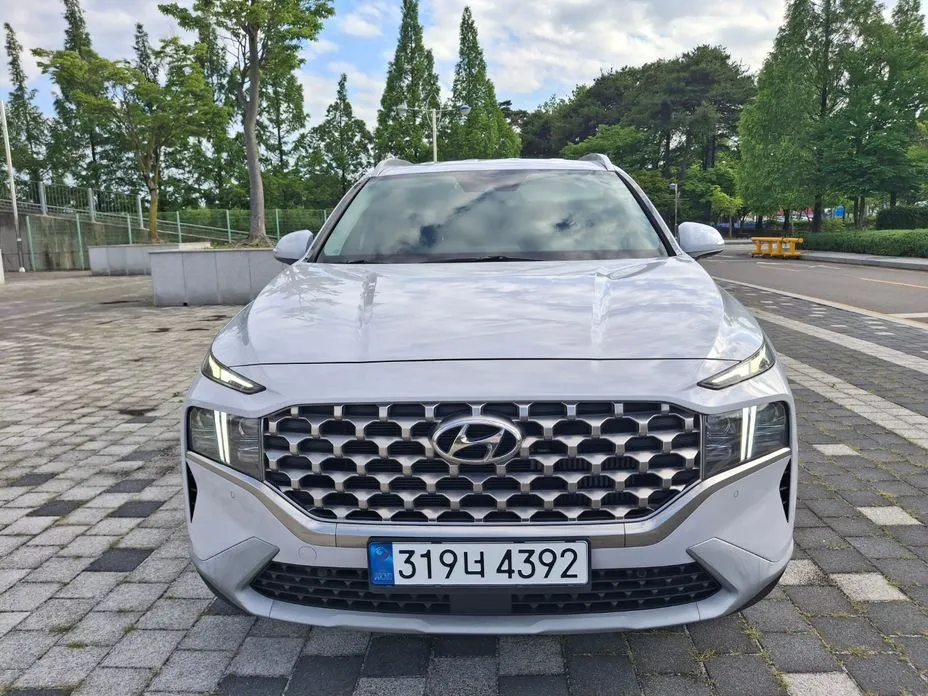 Hyundai Santafe — фото 1