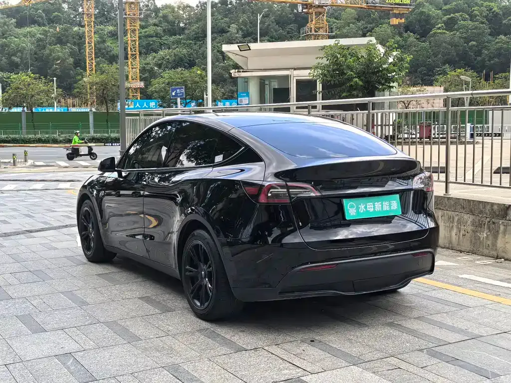 Tesla Model Y — фото 8