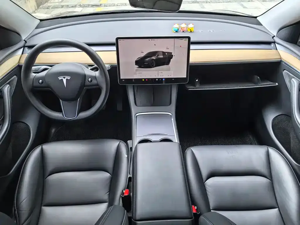 Tesla Model Y — фото 6