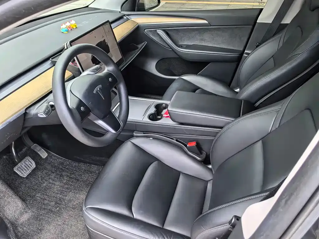 Tesla Model Y — фото 2