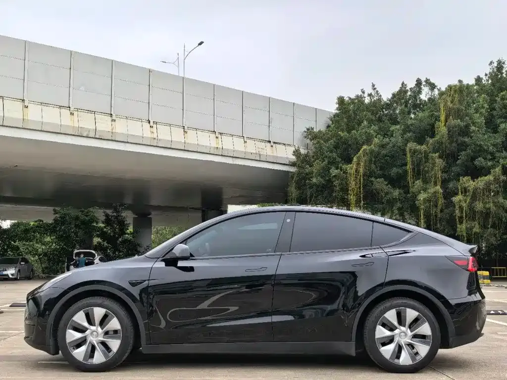 Tesla Model Y — фото 5