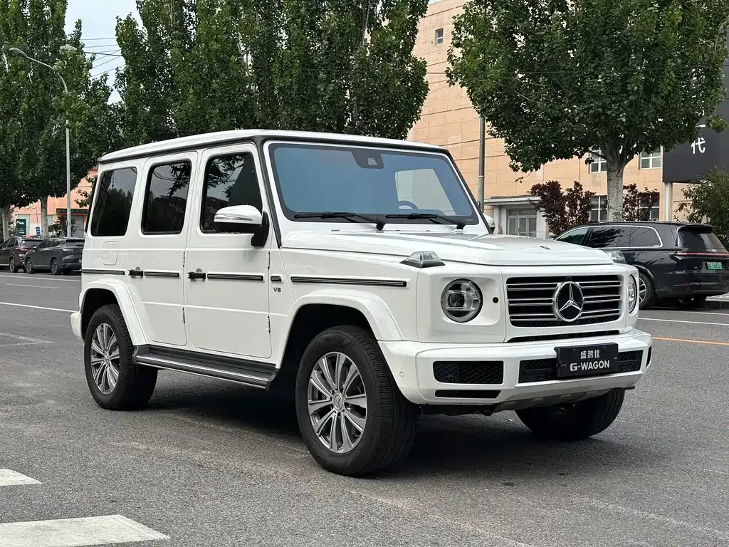 Mercedes-Benz G-Class — фото 10
