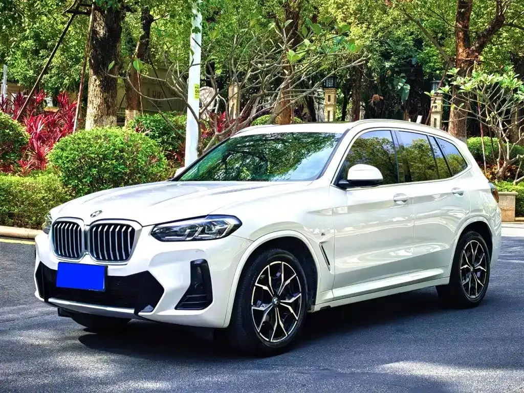 BMW X3 — фото 1