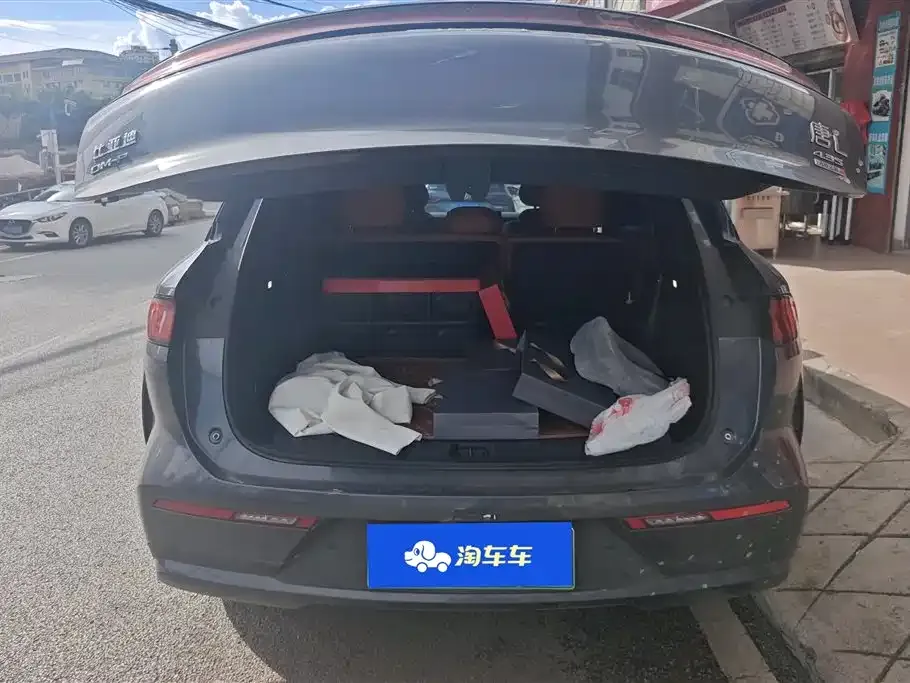BYD Tang L 2025 из CN, фото 3