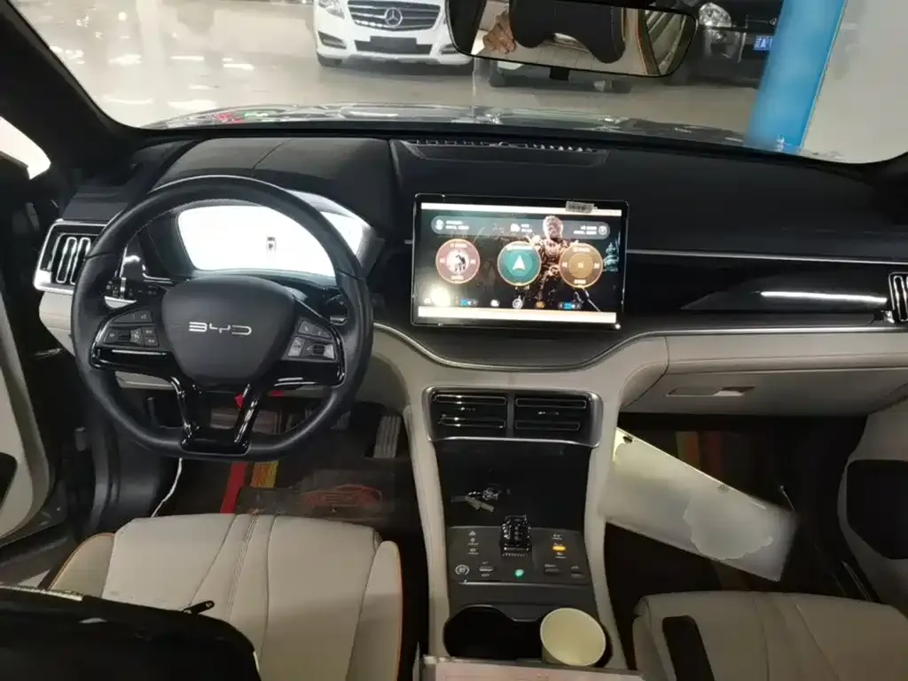 BYD PLUS New Energy 2024 из CN, фото 10