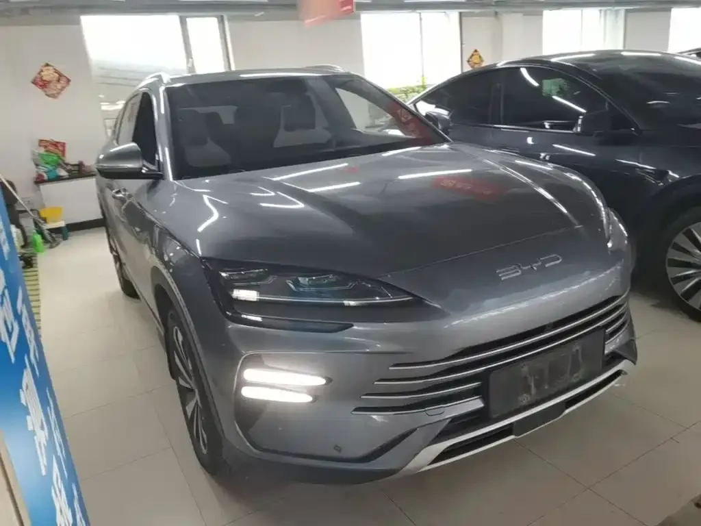 BYD PLUS New Energy 2024 из CN, фото 2
