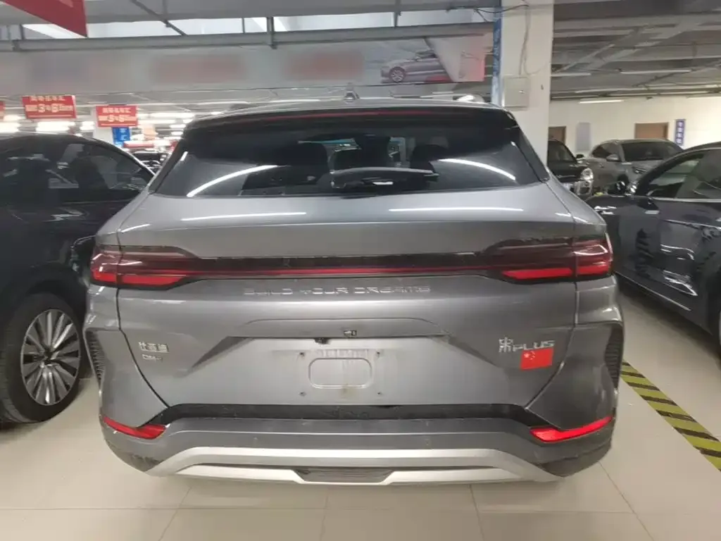 BYD PLUS New Energy 2024 из CN, фото 3