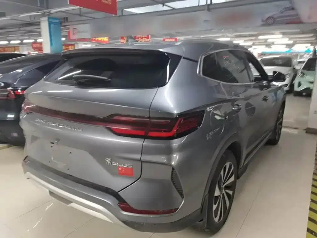 BYD PLUS New Energy 2024 из CN, фото 4