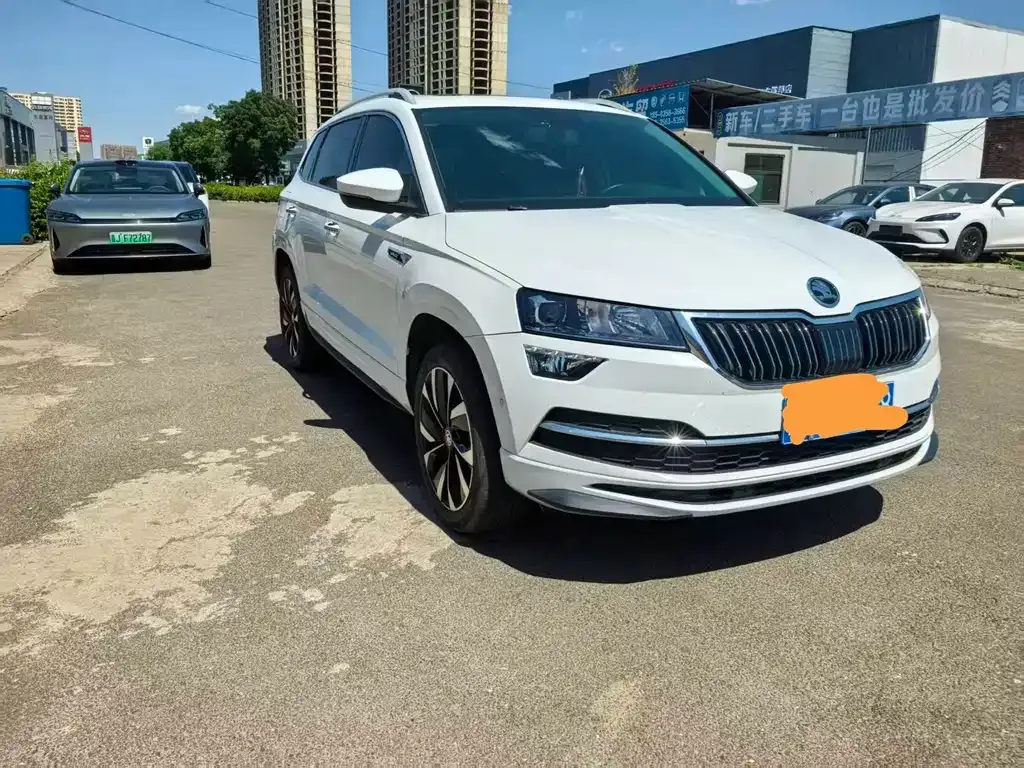 Skoda Karoq — фото 8