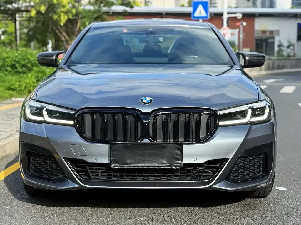 BMW 5 Series (Import) 2021 из CN, фото 5