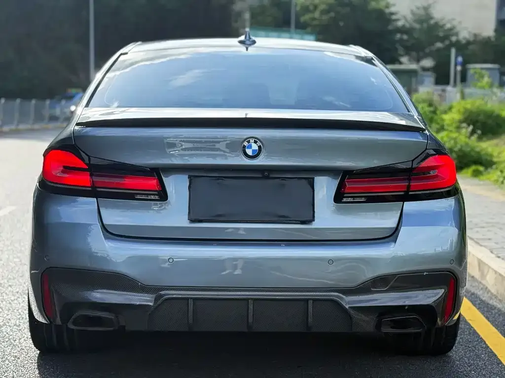 BMW 5 Series (Import) 2021 из CN, фото 8