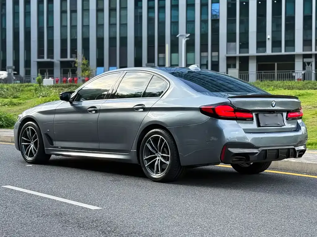BMW 5 Series (Import) 2021 из CN, фото 10