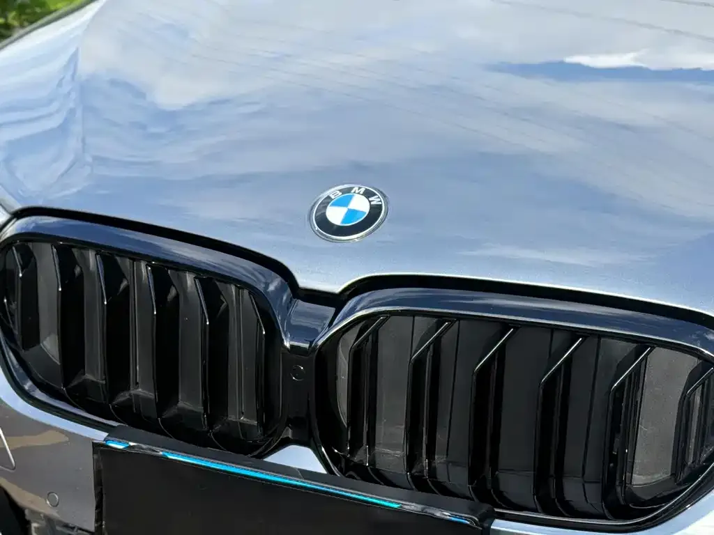 BMW 5 Series (Import) 2021 из CN, фото 2
