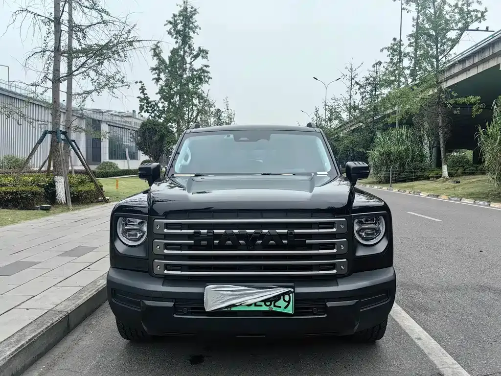Haval Menglong New Energy — фото 1
