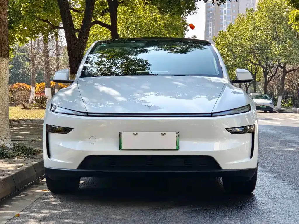 Tesla Model Y 2026 из CN, фото 7