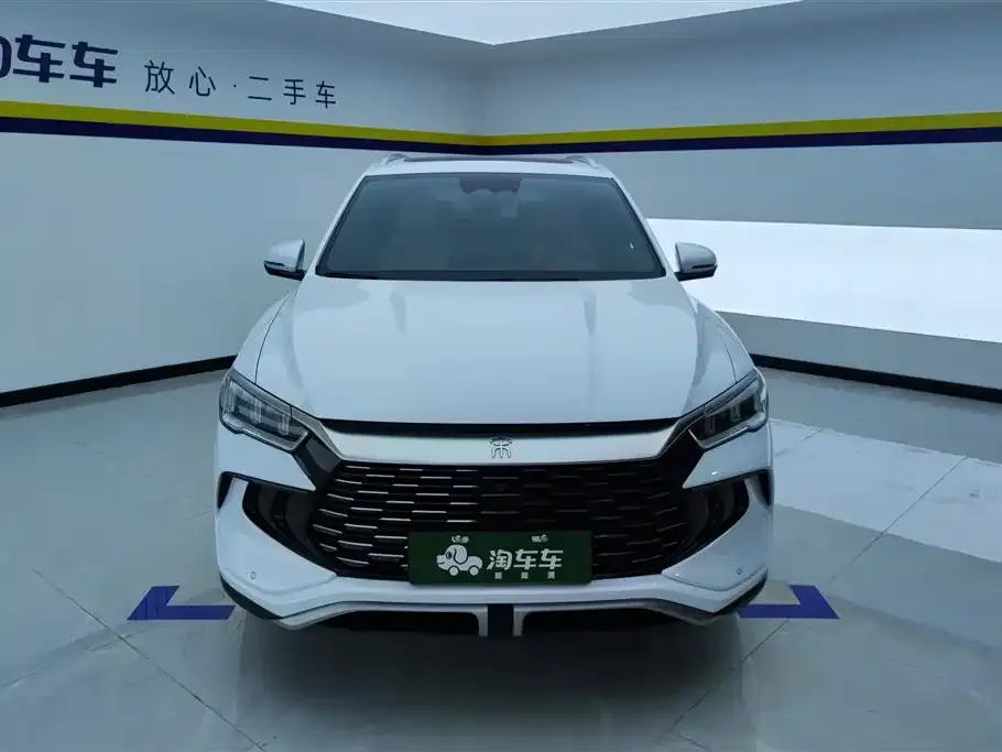 BYD Pro New Energy — фото 10