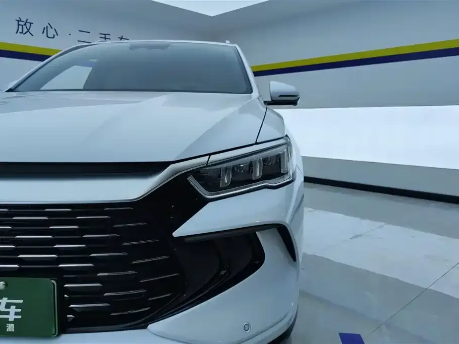 BYD Pro New Energy — фото 9