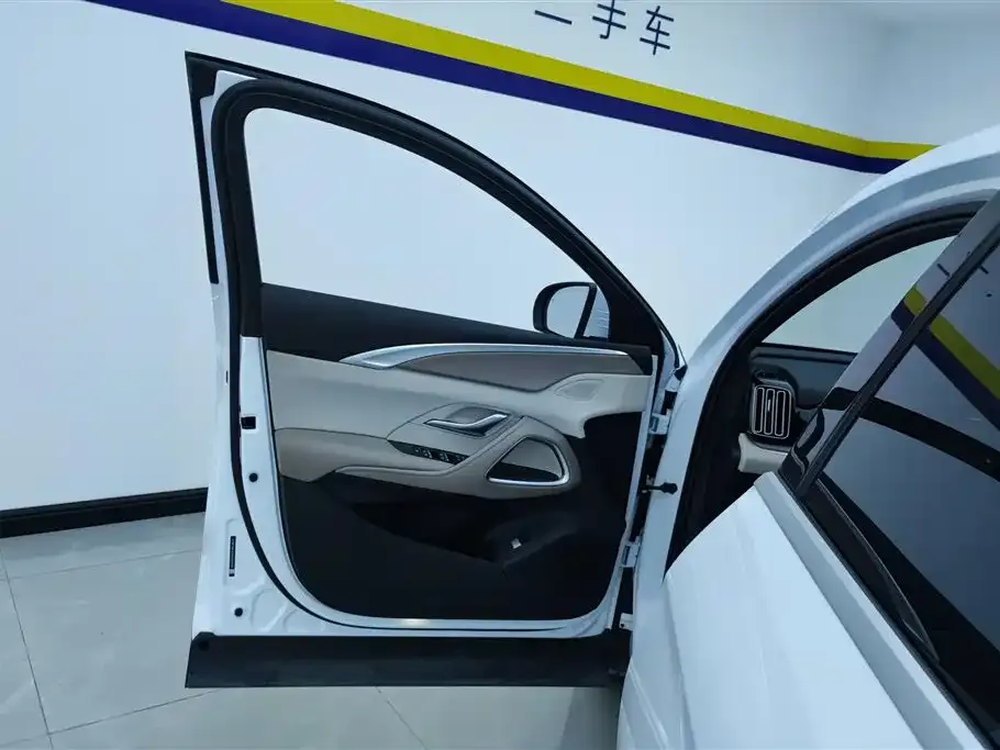 BYD Pro New Energy — фото 2