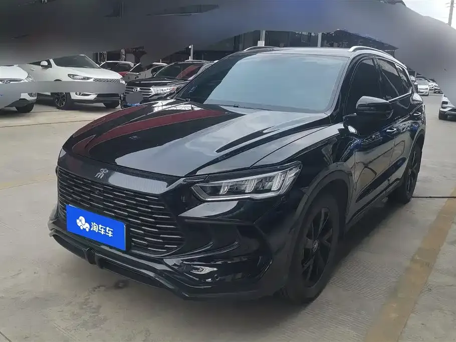 BYD Pro New Energy 2024 из CN, фото 1