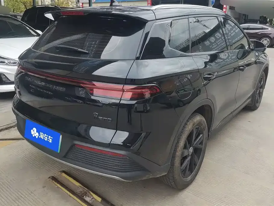 BYD Pro New Energy 2024 из CN, фото 7