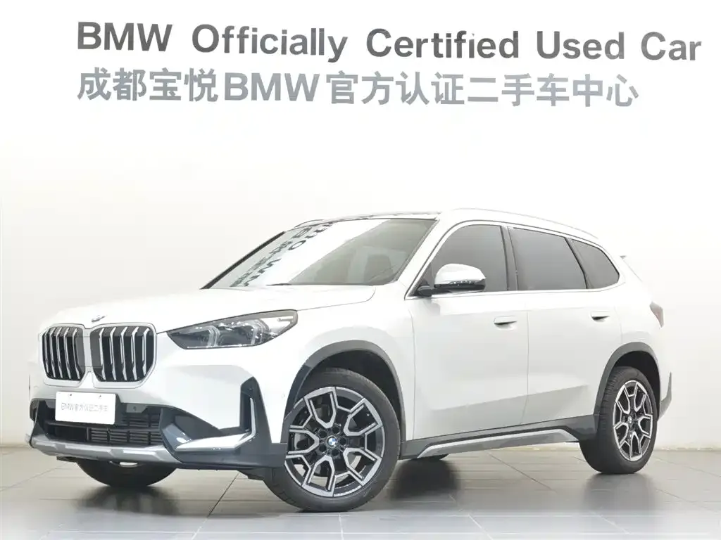 BMW X1 — фото 1