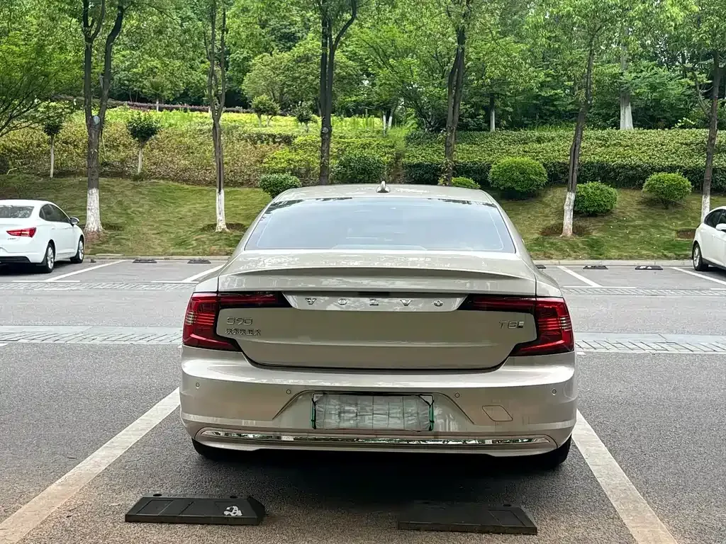 Volvo S90 PHEV 2025 из CN, фото 10