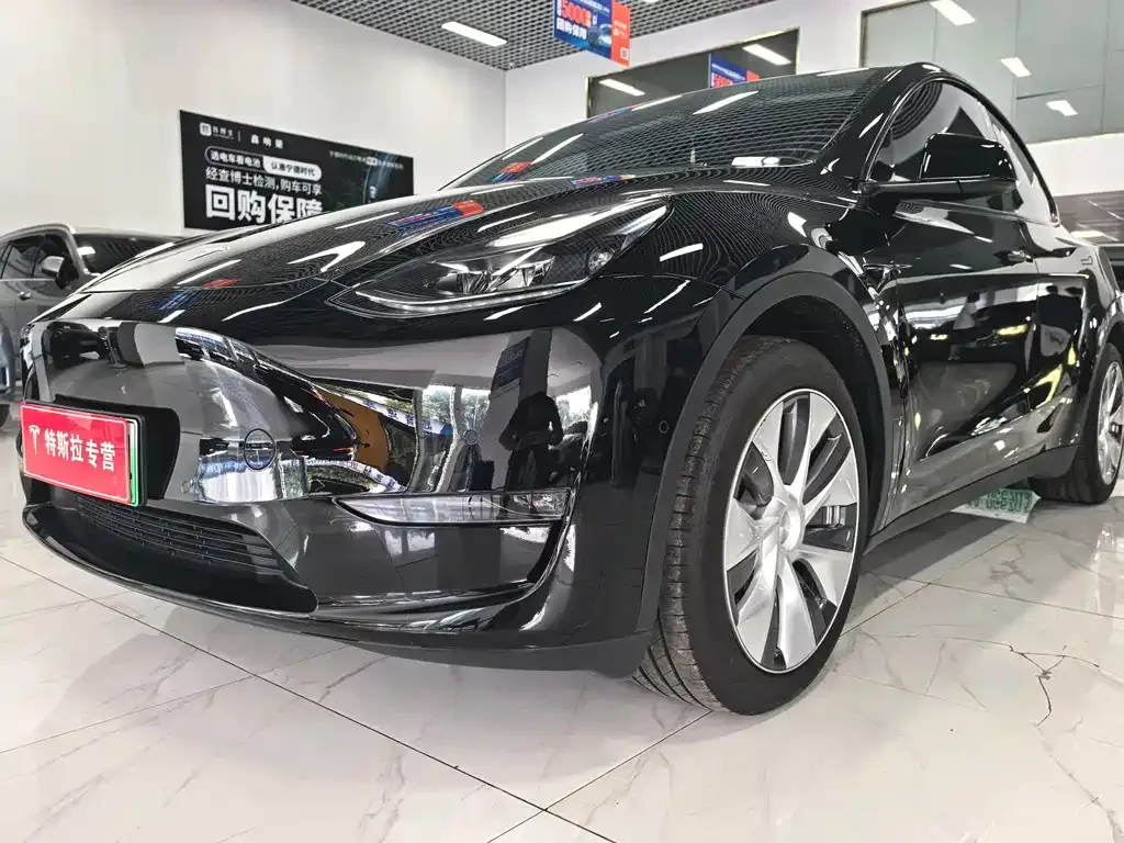 Tesla Model Y — фото 5